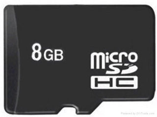 8GB Class 6 SD Card