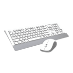 Lapcare Smartoo Wireless Keyboard & Mouse Combo, L999 ( White Silver )